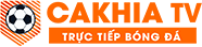 phiu tơ